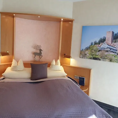 Koch Hotel 3*